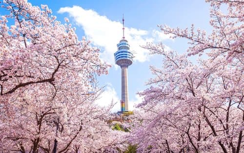 HÀN QUỐC - BUSAN - DAEGU - SEOUL 6N5Đ - ảnh 7
